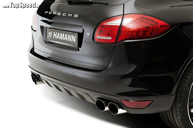 Hamann Cayenne 958